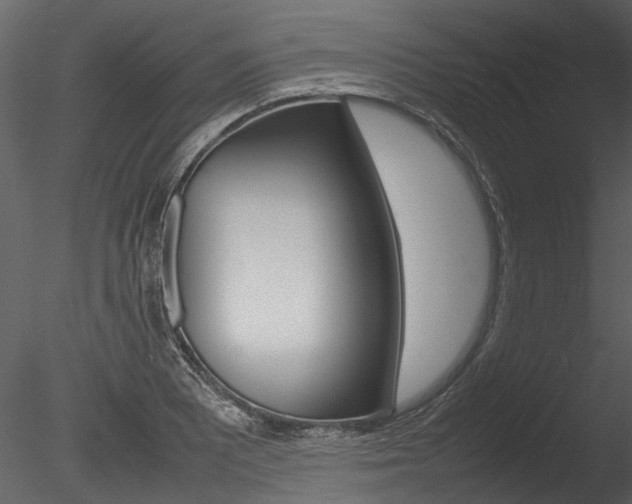 X0000085781081200703160953