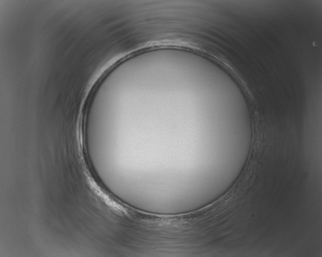 X0000085781084200703160953