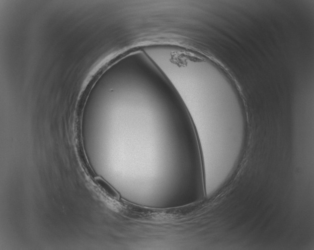 X0000085781085200703160953