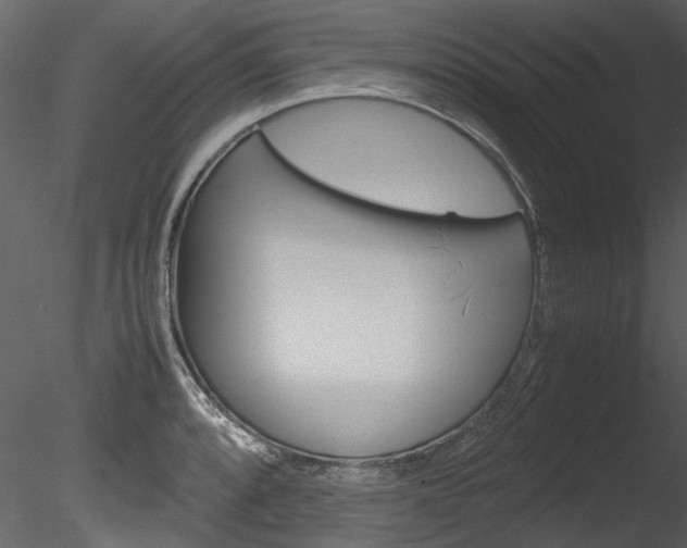 X0000085781088200703160953