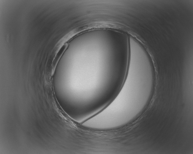X0000085781089200703160953