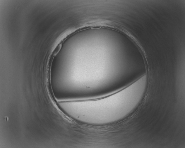X0000085781093200703160953
