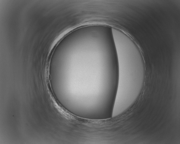 X0000085781101200703160952