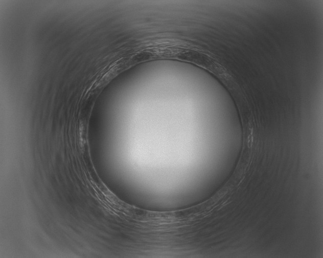 X0000085781108200703160952