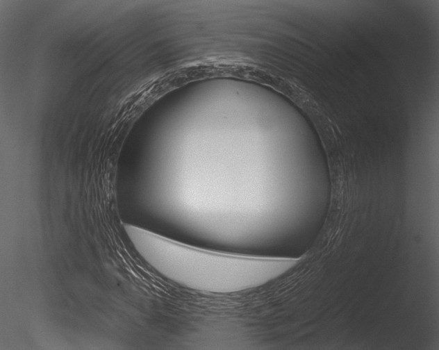 X0000085781110200703160952