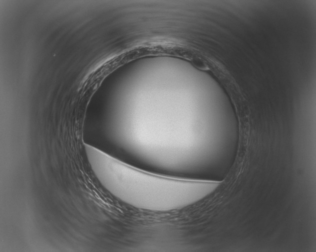 X0000085781112200703160952