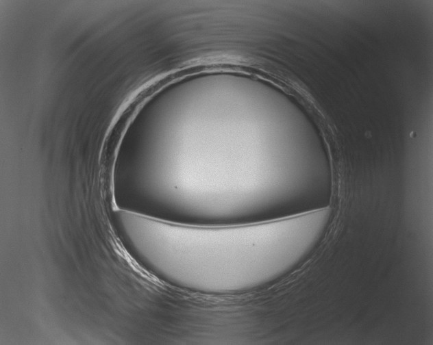 X0000085781116200703160952