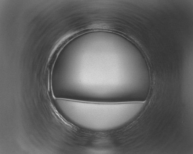 X0000085781123200703160952
