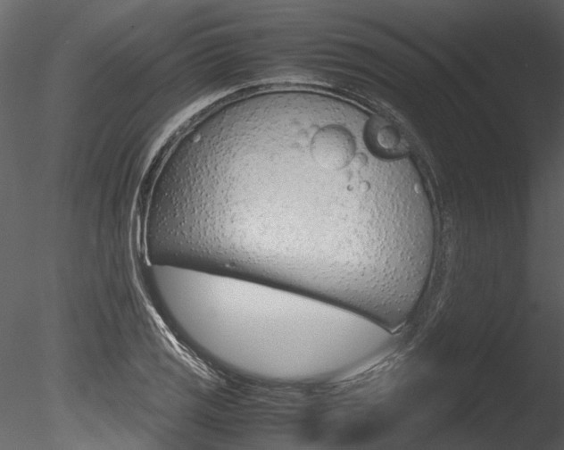X0000085781125200703160952