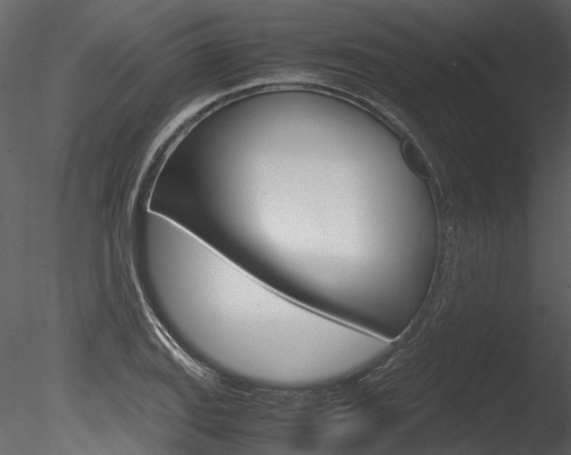 X0000085781127200703160952