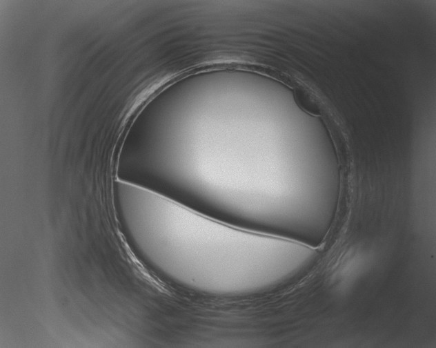 X0000085781129200703160952