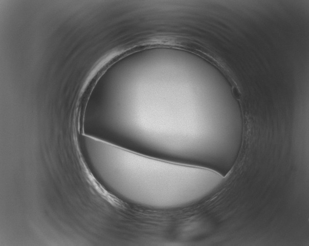 X0000085781131200703160952