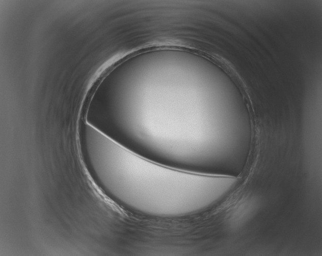 X0000085781133200703160952
