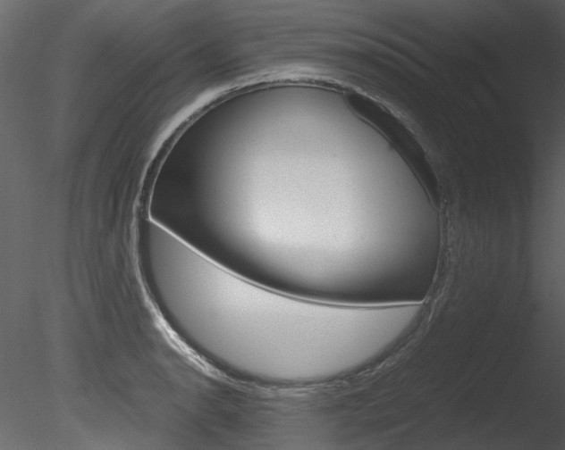 X0000085781134200703160952