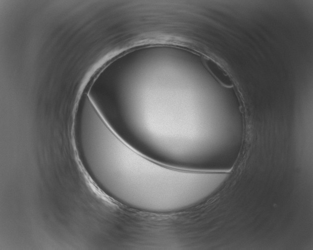 X0000085781136200703160952