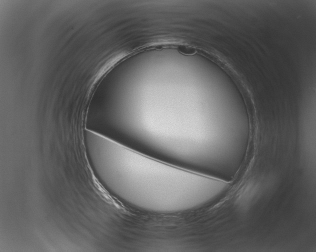 X0000085781137200703160952