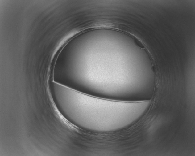 X0000085781139200703160952