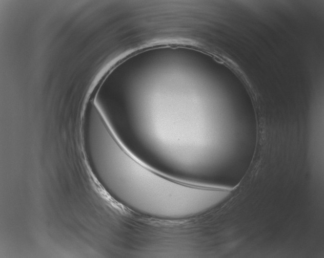 X0000085781140200703160952