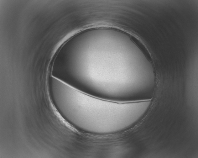 X0000085781142200703160952