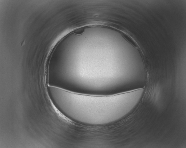 X0000085781143200703160952