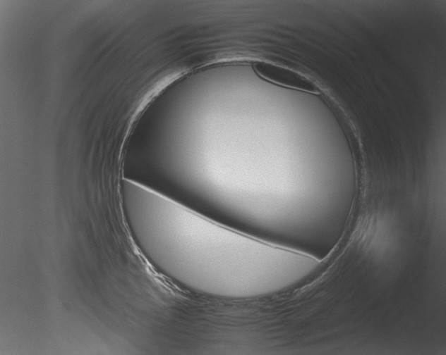 X0000085781145200703160952
