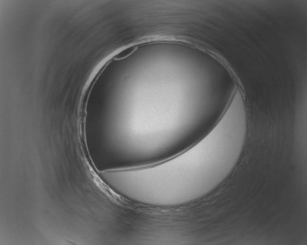 X0000085781148200703160952