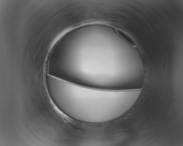 X0000085781151200703160952