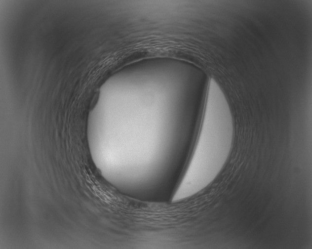 X0000085781153200703160952