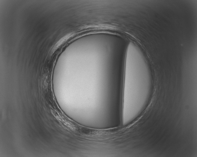X0000085781163200703160951