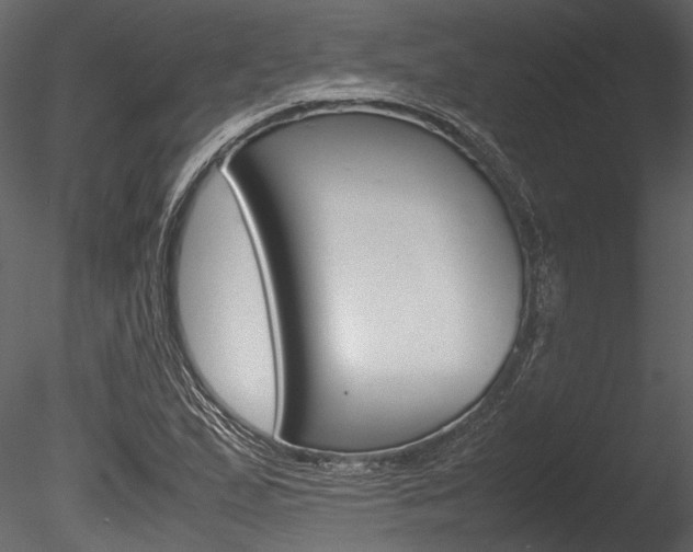 X0000085781167200703160951