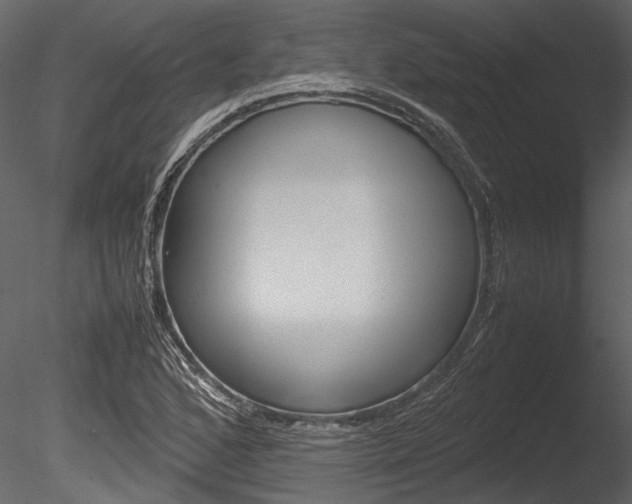 X0000085781168200703160951