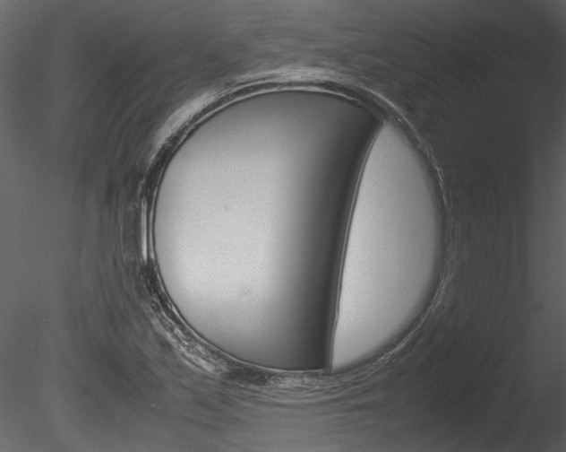 X0000085781171200703160951