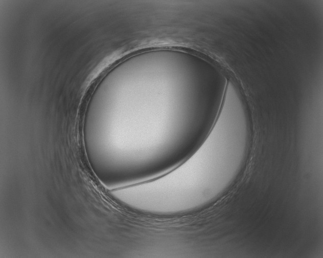 X0000085781173200703160951