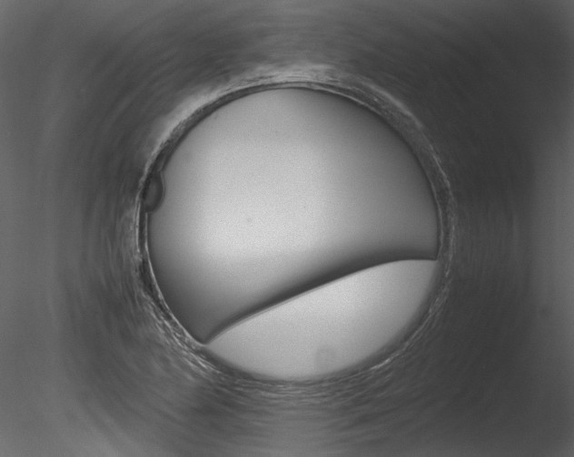 X0000085781174200703160951