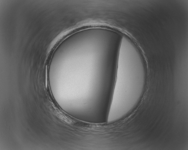 X0000085781175200703160951