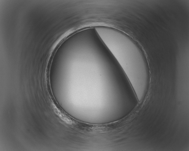 X0000085781181200703160951