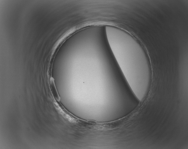 X0000085781189200703160951