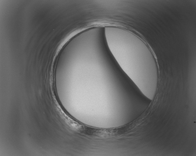 X0000085781195200703160951