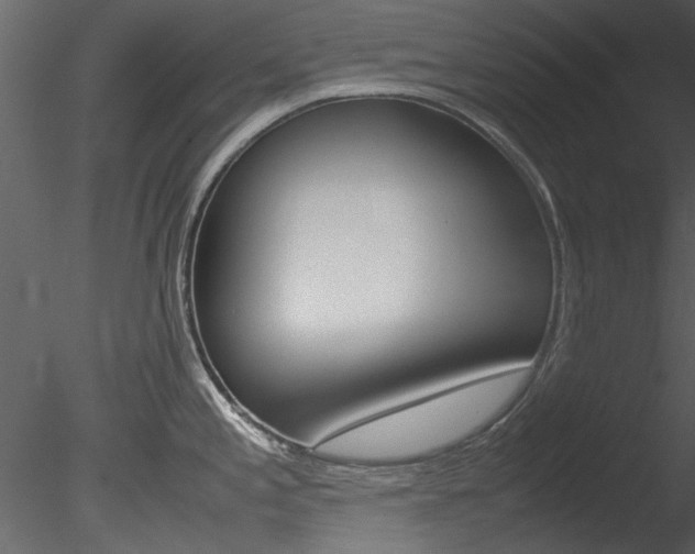 X0000085781197200703160951