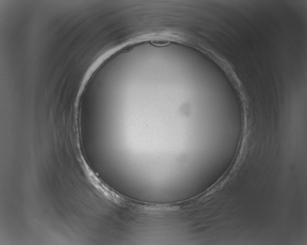 X0000085781200200703160951