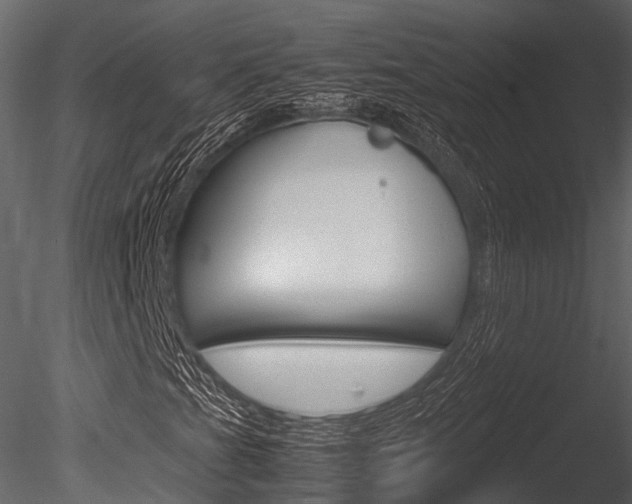 X0000085781201200703160950