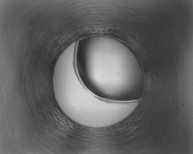 X0000085781202200703160950