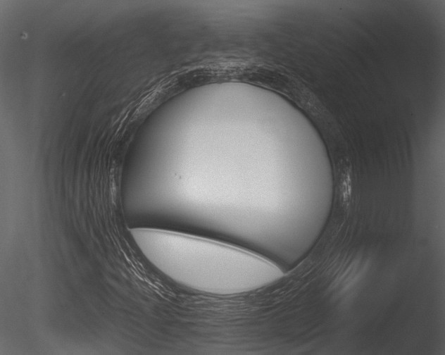 X0000085781204200703160950