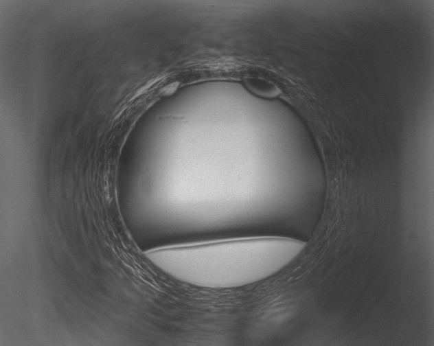 X0000085781205200703160950