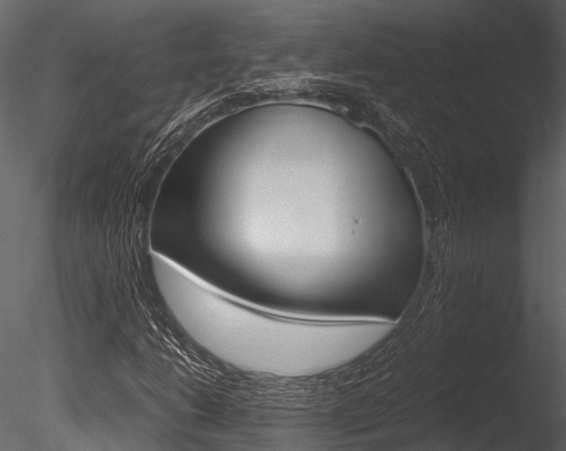 X0000085781206200703160950
