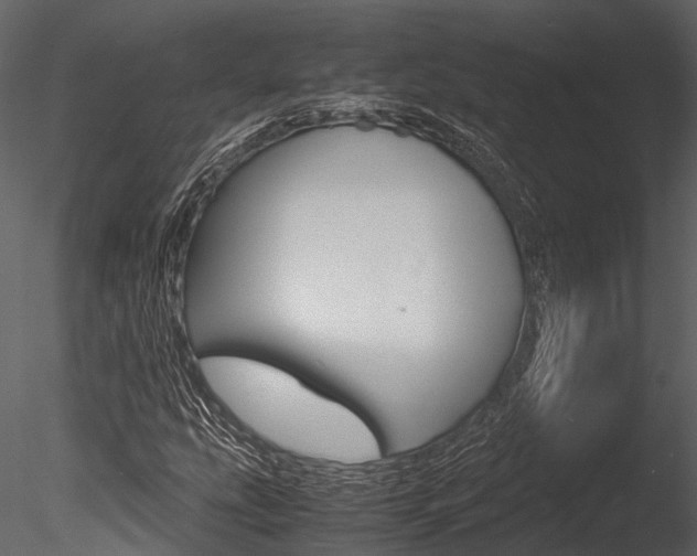 X0000085781207200703160950