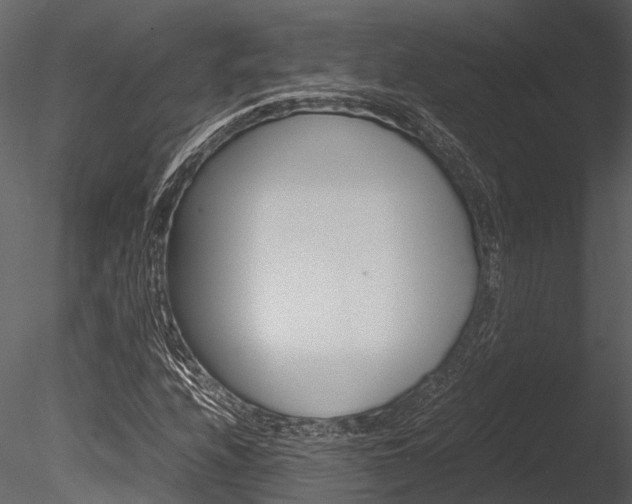X0000085781208200703160950