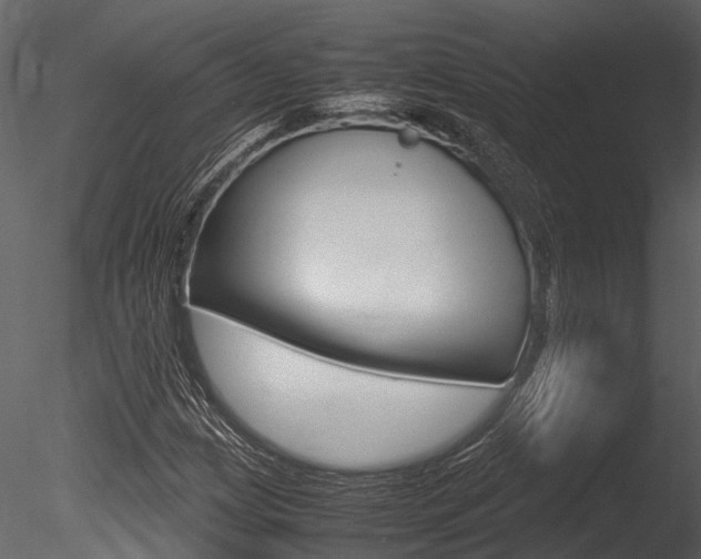 X0000085781209200703160950