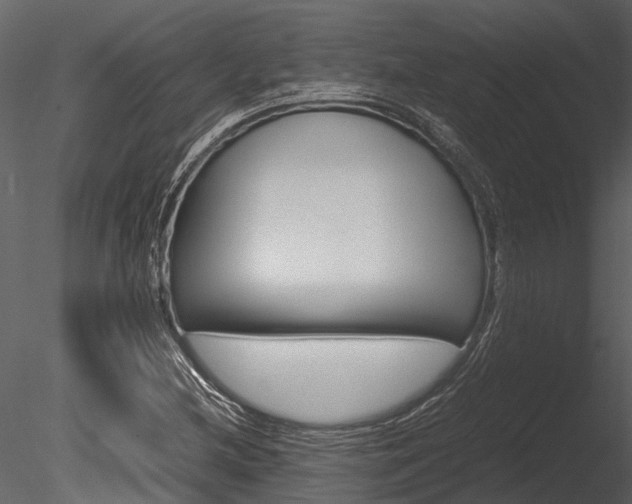 X0000085781212200703160950