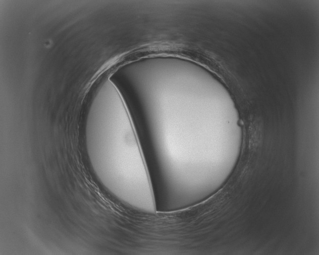X0000085781213200703160950